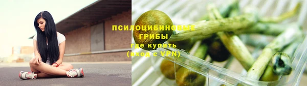 амф Алзамай