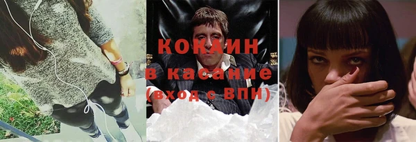 сатива Алексин