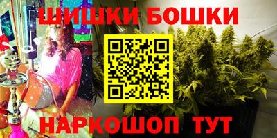 МДПВ Партизанск