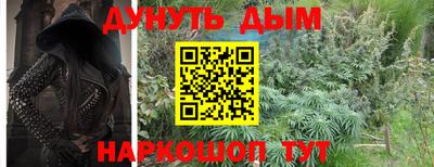 МДПВ Партизанск