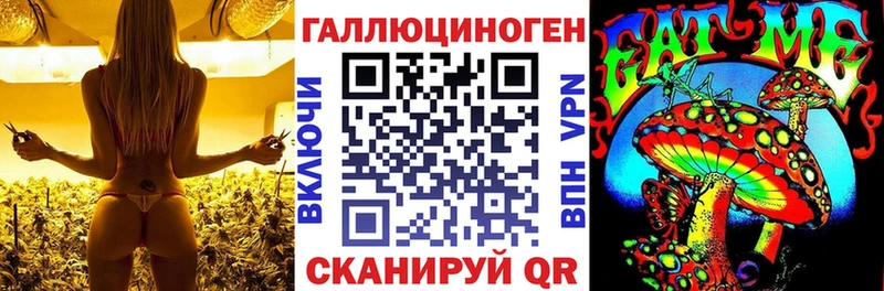 Галлюциногенные грибы прущие грибы  Тула 