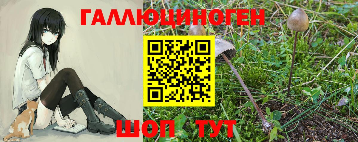 Галлюциногенные грибы GOLDEN TEACHER  Галлюциногенные грибы Magic Shrooms  Вход с VPN  Тула 